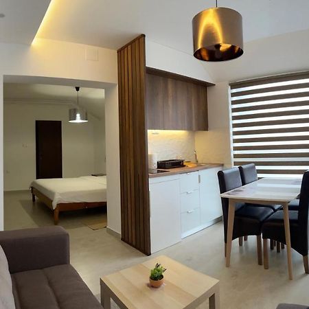 Villa I Spa Stevic Veliko Gradište Exteriér fotografie