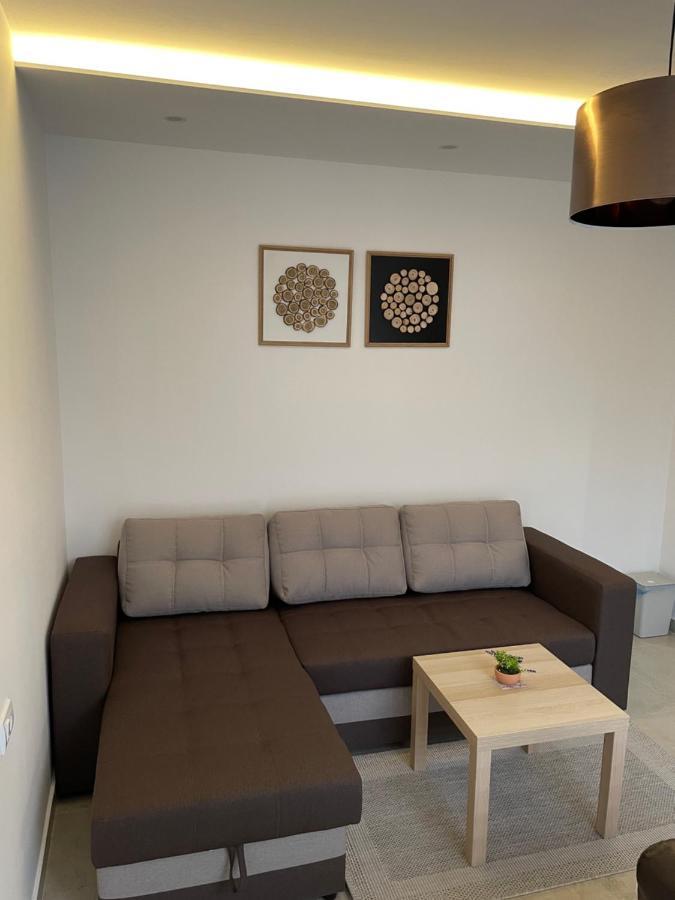 Villa I Spa Stevic Veliko Gradište Exteriér fotografie